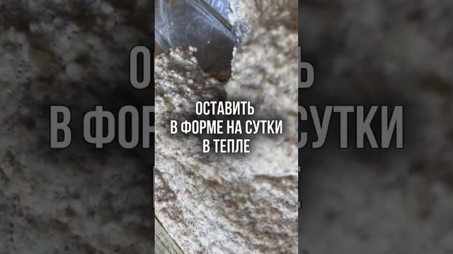 Шеф-повар дома