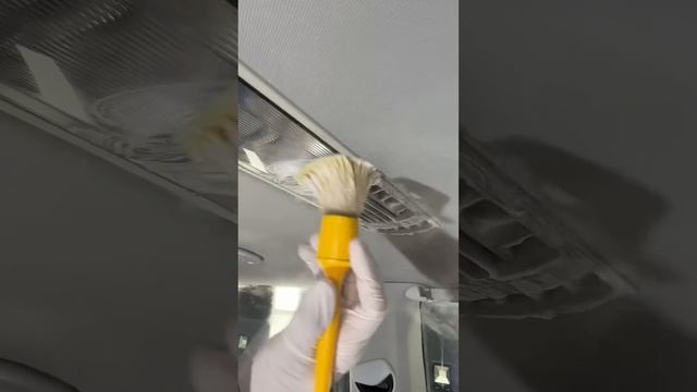 Transforming a CARAVELLE: Paint Restoration and Deep Interior Cleaning смотреть онлайн