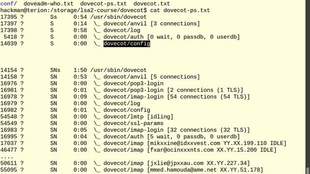 LSA2 - Dovecot part I смотреть онлайн