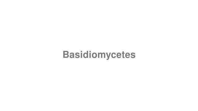 How to Pronounce "Basidiomycetes" смотреть онлайн