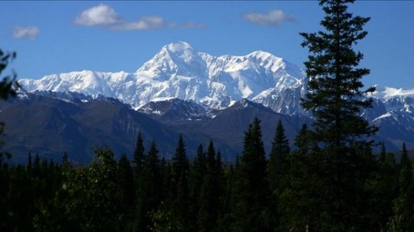 Музыка из фильма Твин Пикс. Тема Твин Пикс (инструментальная). Анджело Бадаламенти