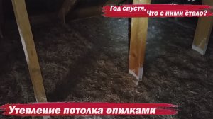 Утепление потолка опилками. Год спустя.