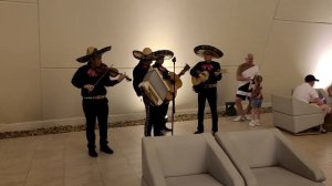 Мексиканские мариачи исполняют «La Bamba»