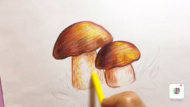 Рисуем грибы карандашами смотреть онлайн