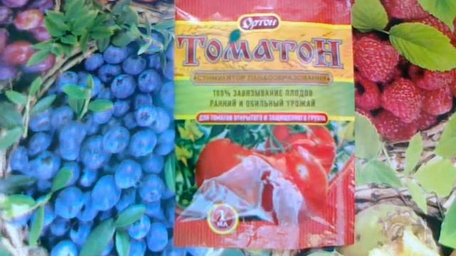 Томатон - препарат для увеличения урожайности томатов. смотреть онлайн