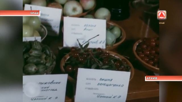 Старый телевизор. История Дач 14-07-2021 смотреть онлайн