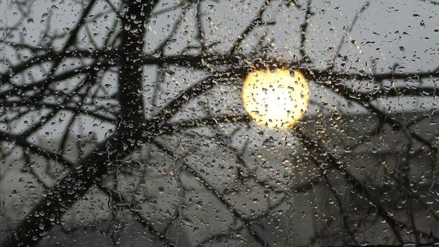 MVI 0086 Я вернулся в мой город знакомый до слёз... 1930 (О. Мандельштам)..Павел Васильев Лахтински смотреть онлайн