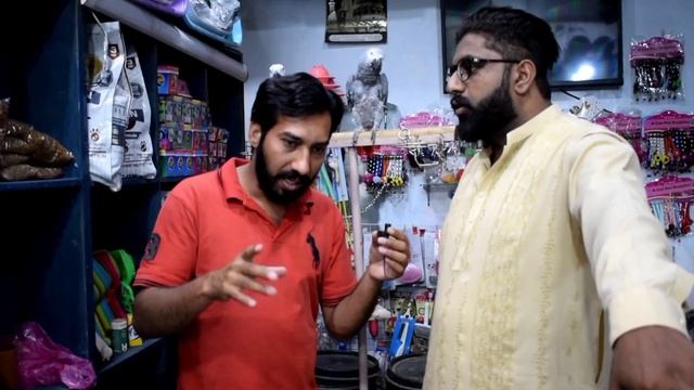 Faisalabad Birds Market Update ||Puppies Kitten Parrots Java смотреть онлайн