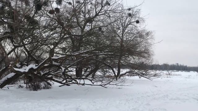 ТАК БУДЕТ НЕ ВСЕГДА....СТИХИ О ГЛАВНОМ. ( Л. Рубальская) смотреть онлайн