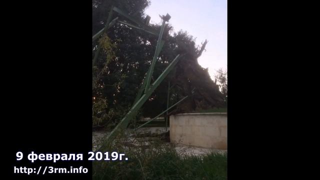 ЗНАМЕНИЕ КОНЦА ВРЕМЕН. УПАЛ МАВРИЙСКИЙ ДУБ В ХЕВРОНЕ смотреть онлайн