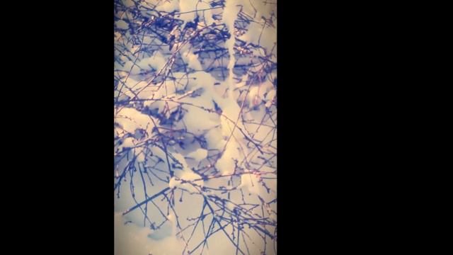 Хочу стать фотографом поддержите лайком смотреть онлайн