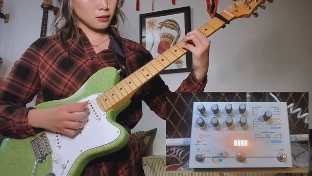microcosm pattern multidelay riff смотреть онлайн