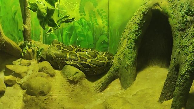 16 июля 2022 г.(2) смотреть онлайн