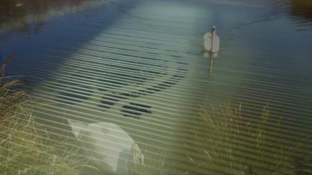 Romantische Improvisation: auf einen "August Förster Flügel" смотреть онлайн