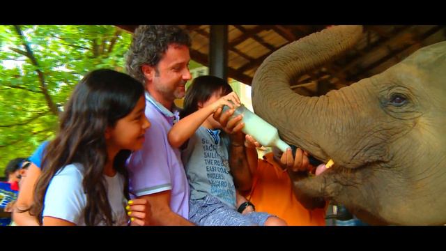 Pinnawala - Слоновий питомник в Пиннавела