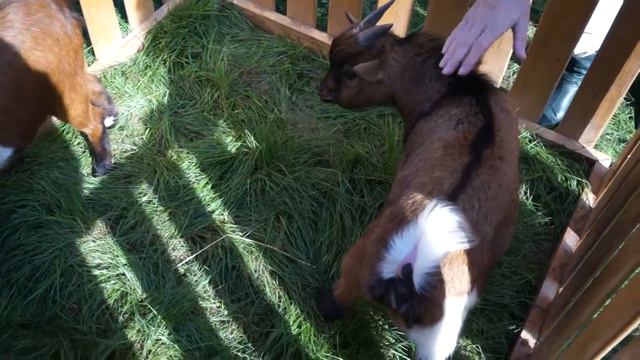 6. Пространство ARTХАУС (архивная съёмка) смотреть онлайн