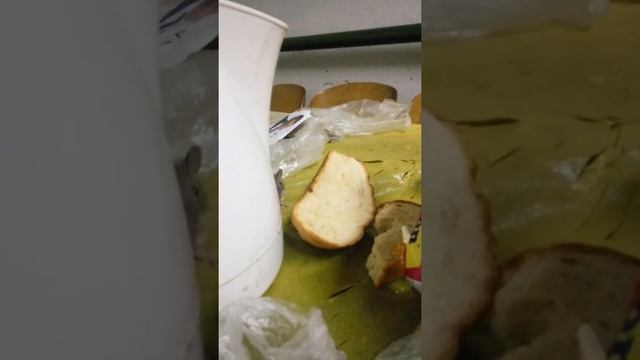 Миша яка нічого не боїться смотреть онлайн