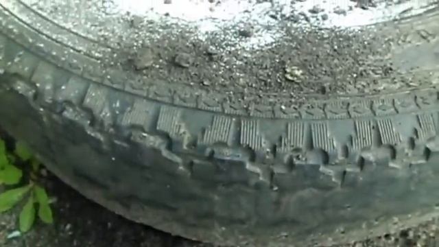 Как легко избавится от муравьев на клумбе смотреть онлайн