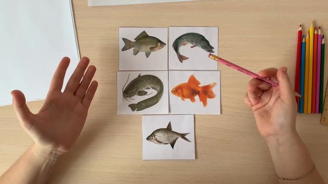 Занятие «Составление рассказов по мнемо-схеме»