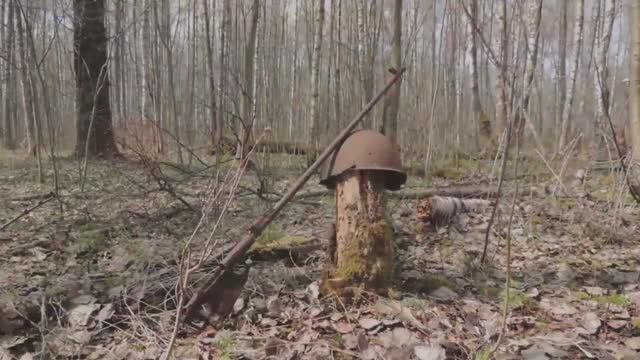 Поиск смотреть онлайн