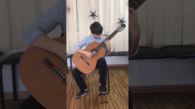 Карпенко Максим - М. Джулиани Этюд (ми минор) преп. Харина А. А. смотреть онлайн