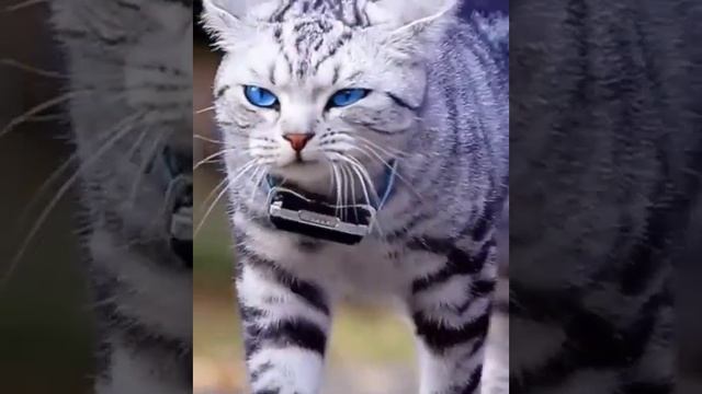 Прости Прощай подруга Нинка смотреть онлайн