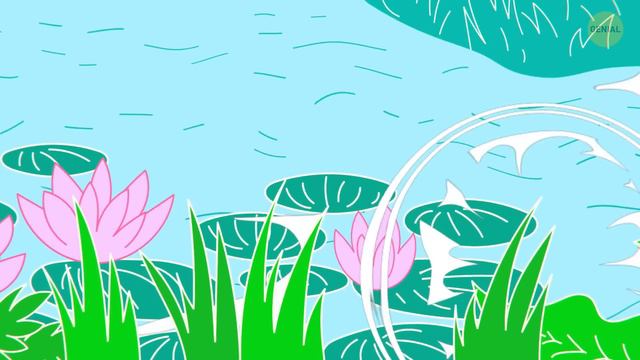 Más de 50 datos sobre animales que nadie nos dijo durante la clase de biología смотреть онлайн