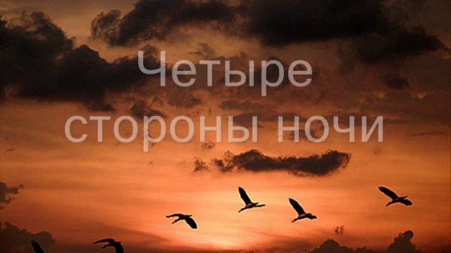 Разные птицы ( Обреченная стать звездой ) смотреть онлайн