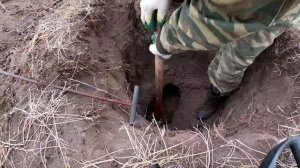 Охота на барсука.Охота с собакой, ягдтерьер в норном деле. Сезон 2021.German Jagdterrier on the hun