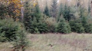 Заброшенный  пионерлагерь Восток и подземный объект в глухом лесу Наро-Фоминска