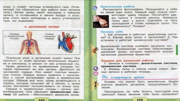 Дыхание и кровообращение. Окружающий мир. 3 класс, 1 часть. Учебник А. Плешаков стр. 144-146