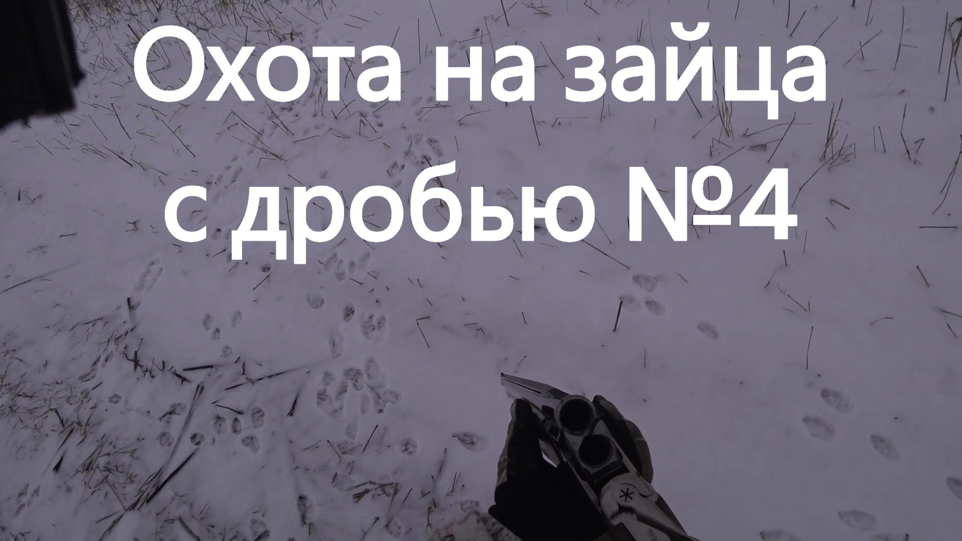Охота на зайца с дробью №4 смотреть онлайн