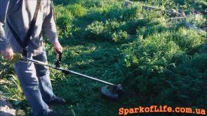 Обзор электрокосы (электротриммер) для газона. Электрокоса в работе 1 ч.