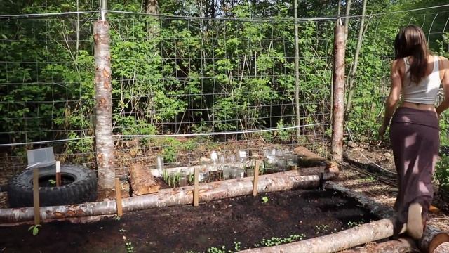 OFF GRID WILDERNESS YURT LIVING // Hand Pump Rainwater | GARDEN TOUR & GROWING FRUIT TREES - Ep. 90 смотреть онлайн