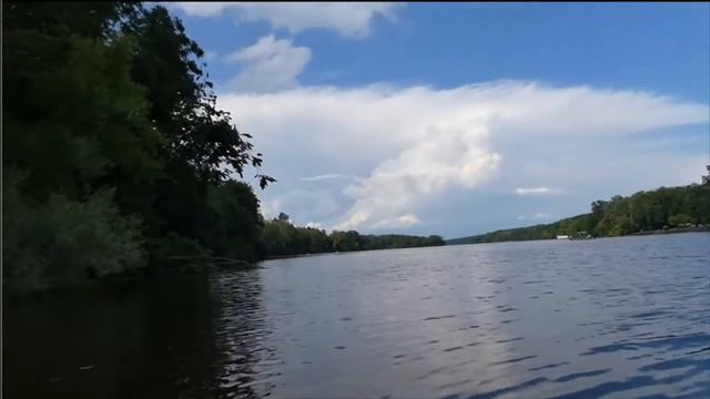 ОЗЕРО НОКАМИКСОН черепахи Nockamixon Lake20200628 смотреть онлайн