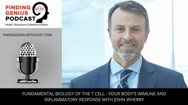 Fundamental Biology of the T Cell - Your Body's Immune and Inflammatory Response with John Wherry смотреть онлайн