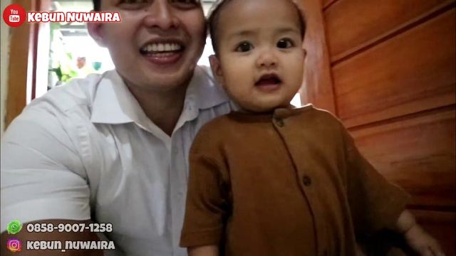 TANAMAN HIAS SULTAN UNTUK BACKGROUND ACARA ULANG TAHUN смотреть онлайн