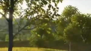 Ветер северный. (...нет у нас мамы она умерла)