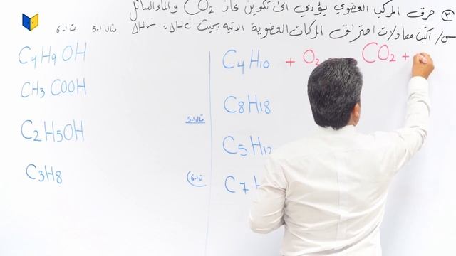 الفصل الأول | المحاضرة 11 | مهند السوداني | 2024 смотреть онлайн