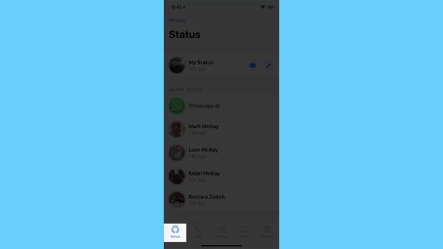 WhatsApp 2018 - In-depth Tutorial смотреть онлайн