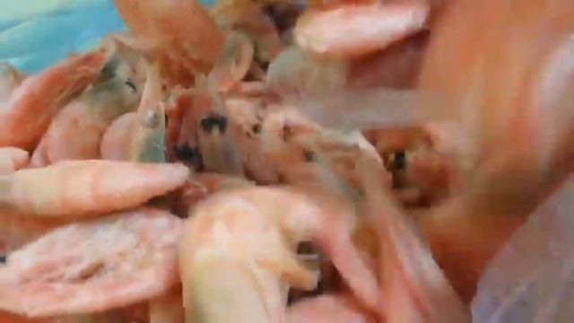 Креветки варено-мороженые без глазури смотреть онлайн