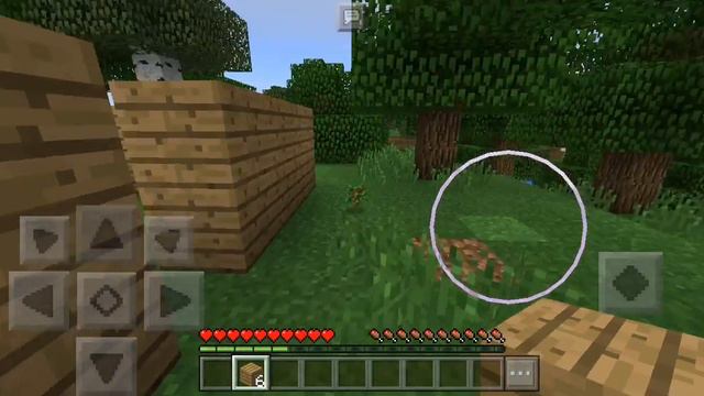 Ангелина супрун смотреть онлайн