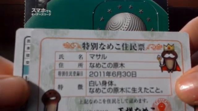 takeのなめこバラエティーカード開封動画 смотреть онлайн