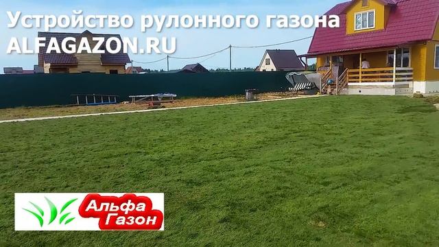 Рулонные Газоны смотреть онлайн