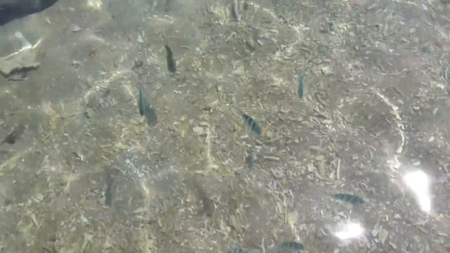 Nearest beach Jansom Bay Koh Tao.MTS смотреть онлайн