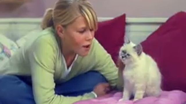 TVadvertising My Pet Hotel 2 смотреть онлайн