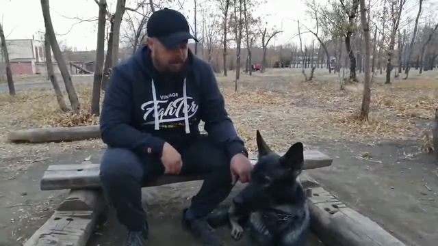 выбор щенка, путь домой смотреть онлайн