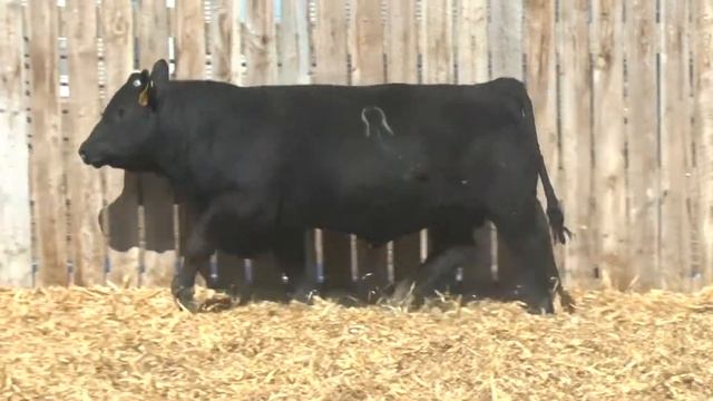 U210B смотреть онлайн