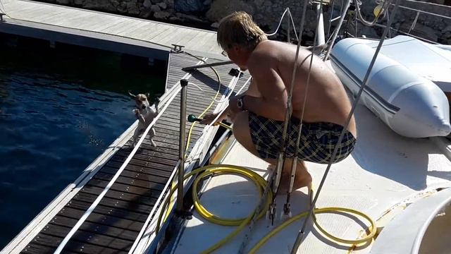 Купание "красного коня" смотреть онлайн