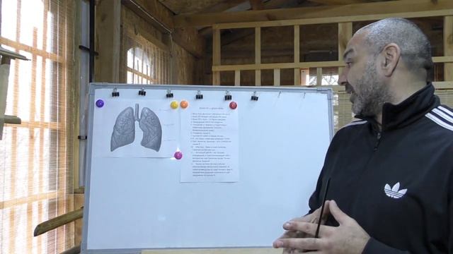 Души ПО. смотреть онлайн